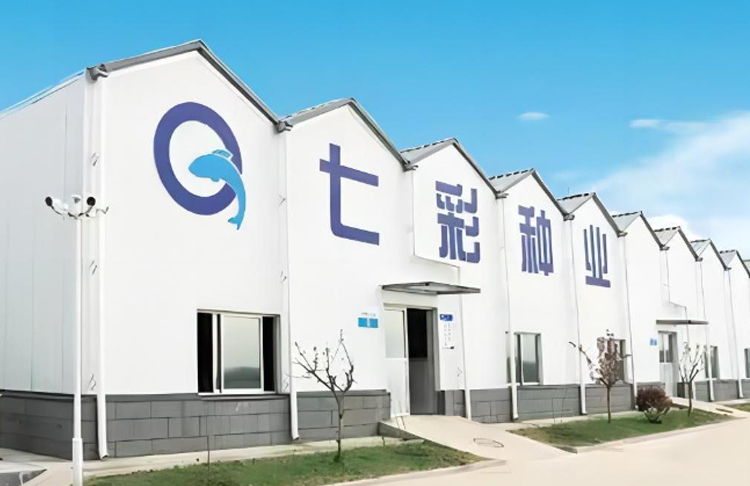 市委副书记、市长赵豪志调研青岛国投公司基金投资项目